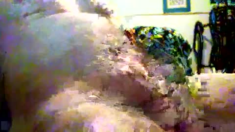 sparkybig127 online show from December 2024 04:25:01 PM