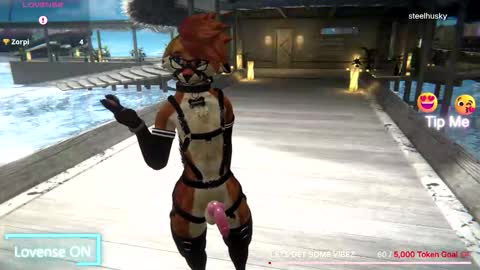 Snapshot of spaydewolfxxx chatting on December 2025 01:54:01 AM spaydewolfxxx online show from December 2025 01:54:01 AM