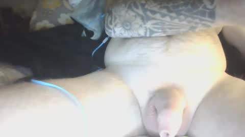 Snapshot of species98 chatting on January 2025 05:51:01 AM species online show from January 2025 05:51:01 AM