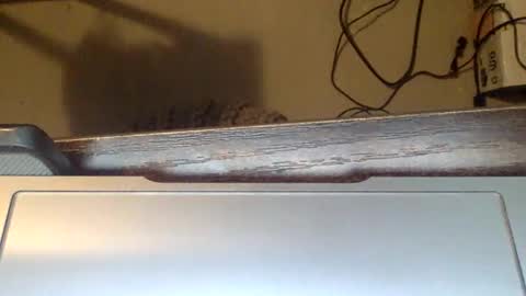 Snapshot of spirit__bear chatting on November 2025 12:59:01 PM spirit__bear online show from November 2025 12:59:01 PM