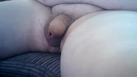 splitter60 online show from March 2026 12:56:01 PM