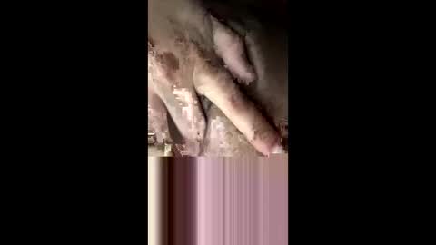 staceyrey online show from March 2026 07:25:02 AM