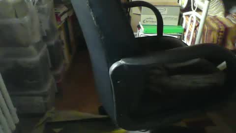 CIPPALIPPA online show from January 2025 08:52:01 AM