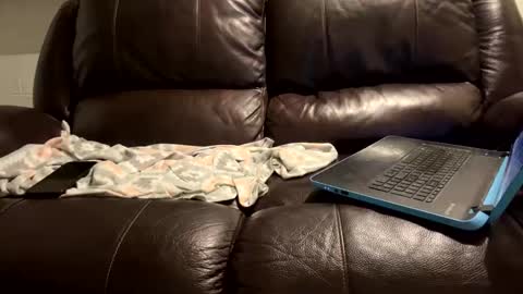 starr3095 online show from January 2025 06:06:01 AM