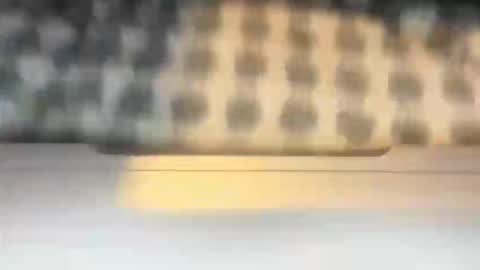 stcolster online show from March 2026 12:13:01 PM