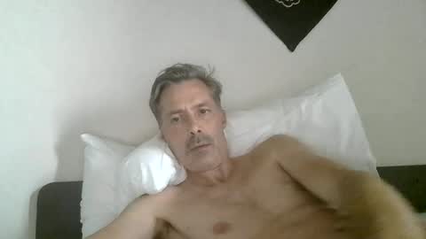 steel80 online show from June 2026 04:20:01 PM