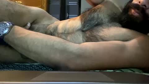 Snapshot of steelspirit chatting on April 2026 02:56:01 AM Lobo del Antiguo Oriente online show from April 2026 02:56:01 AM