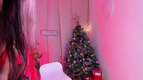 Snapshot of steffy_dan chatting on December 2024 04:01:02 AM Steffy online show from December 2024 04:01:02 AM