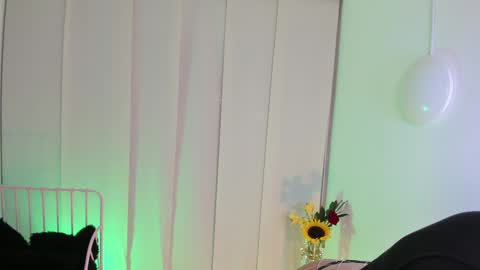 Snapshot of steffy_dan chatting on January 2025 06:58:02 AM Steffy online show from January 2025 06:58:02 AM