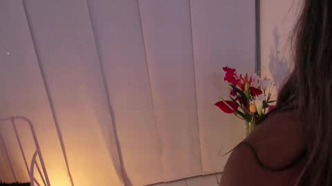 Snapshot of steffy_dan chatting on February 2025 07:11:01 AM Steffy online show from February 2025 07:11:01 AM