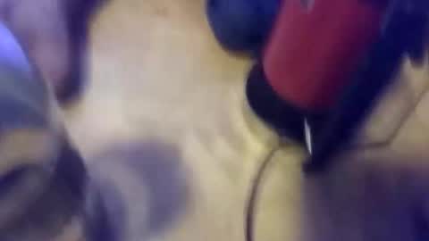 anube krato online show from October 2025 01:28:01 AM