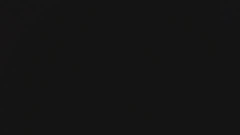 Steisha online show from January 2025 09:33:02 AM