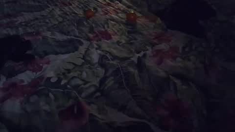 Rocco-load online show from January 2025 06:56:01 PM