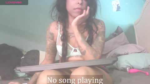 Stella Clitella online show from November 2025 07:02:02 PM