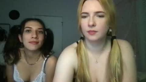 stelladams online show from May 2026 04:20:02 AM