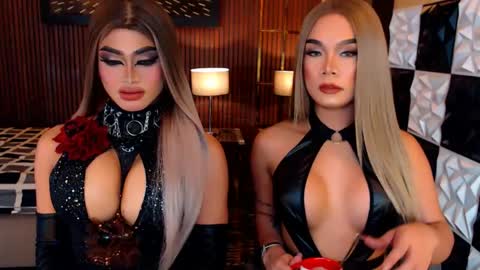 stellaperkins online show from May 2026 06:51:01 AM