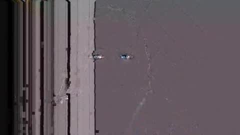 Stellaven online show from January 2026 02:46:02 AM