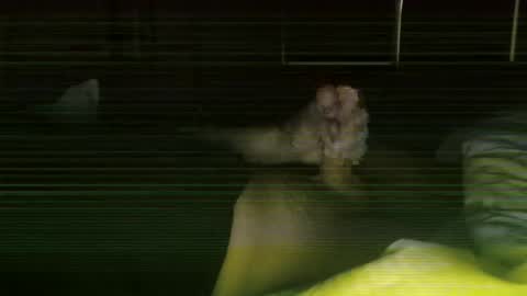 Snapshot of steve093066 chatting on February 2026 11:43:02 AM Steve online show from February 2026 11:43:02 AM