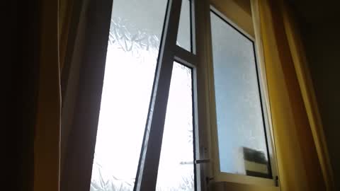 Steven online show from March 2025 11:55:02 AM