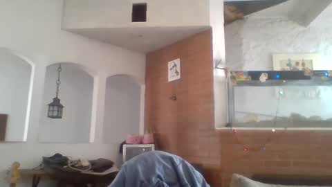 Snapshot of stevenson988 chatting on December 2024 06:12:01 PM stevenson988 online show from December 2024 06:12:01 PM