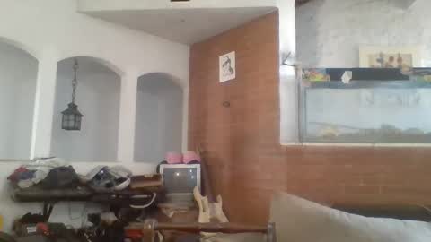 Snapshot of stevenson988 chatting on February 2025 06:44:01 PM stevenson988 online show from February 2025 06:44:01 PM