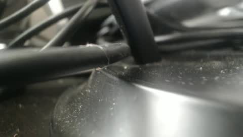 Snapshot of stewpididiot chatting on September 2025 04:51:02 PM Stew Pididiot online show from September 2025 04:51:02 PM