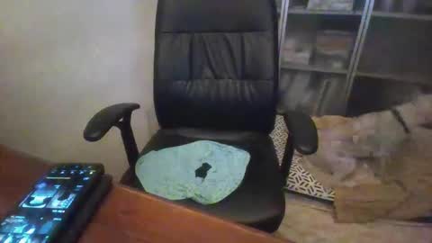 Snapshot of stochastics chatting on December 2025 01:11:02 AM rainy online show from December 2025 01:11:02 AM