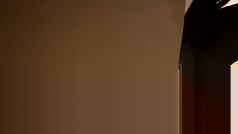 Oval2022 online show from December 2024 08:55:01 PM