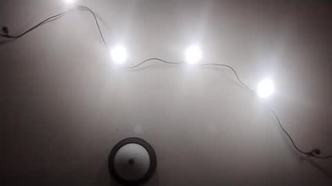 Oval2022 online show from March 2026 11:58:01 AM