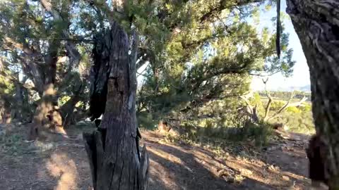 Snapshot of strangestag chatting on October 2025 11:46:01 PM Stag online show from October 2025 11:46:01 PM