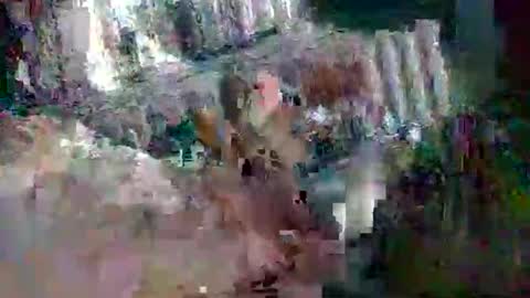 Snapshot of stud_1975 chatting on March 2025 08:05:01 AM stud_1975 online show from March 2025 08:05:01 AM