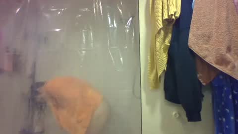 Snapshot of sub4you69brat chatting on December 2025 09:33:01 PM sub4you69brat online show from December 2025 09:33:01 PM