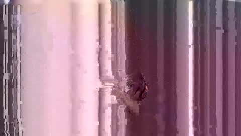 ControlMeViaTeamviewer online show from December 2024 10:28:02 AM