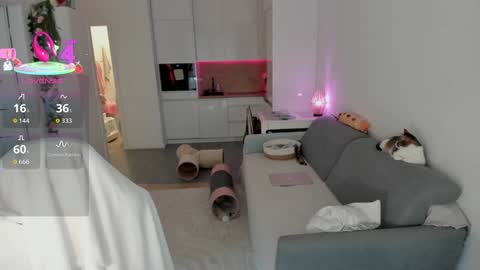 Snapshot of sugar_rainbow chatting on October 2025 10:27:02 AM Kinga online show from October 2025 10:27:02 AM
