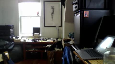 Snapshot of sugardotdom chatting on April 2026 02:01:02 PM Sugar online show from April 2026 02:01:02 PM