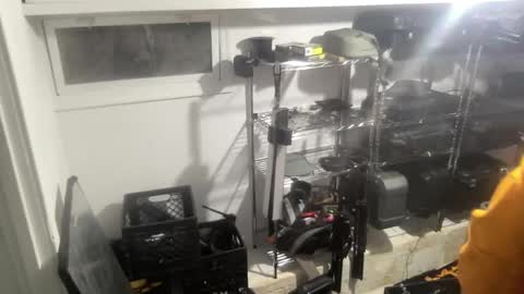 Sugar online show from December 2024 02:43:02 AM