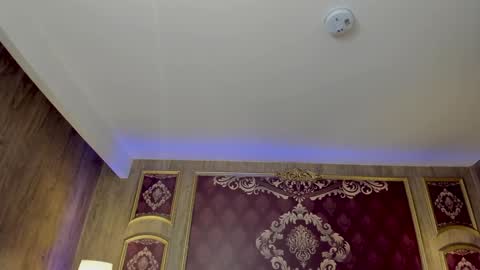       -  - online show from December 2024 07:13:02 AM