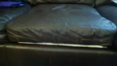 Snapshot of suv1 chatting on March 2026 09:26:02 AM Otto online show from March 2026 09:26:02 AM