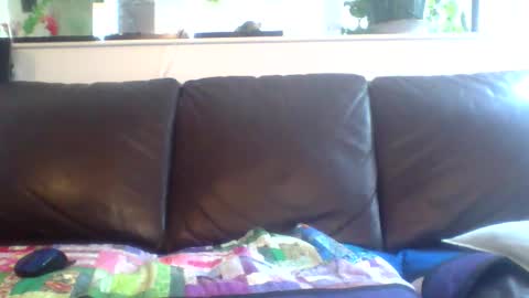 Snapshot of suv1 chatting on April 2026 05:43:02 PM Otto online show from April 2026 05:43:02 PM