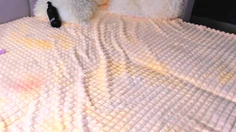 Alice online show from September 2025 03:25:01 PM