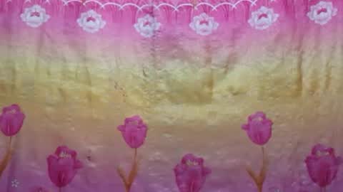 Snapshot of sweet_nina4uxx chatting on January 2025 12:29:01 AM Nina online show from January 2025 12:29:01 AM