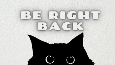       Independent model online show from January 2025 07:48:02 AM