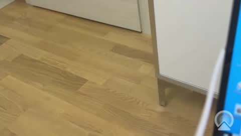 Snapshot of sweetlovelyladylove chatting on April 2026 08:32:01 AM sweetlovelyladylove online show from April 2026 08:32:01 AM