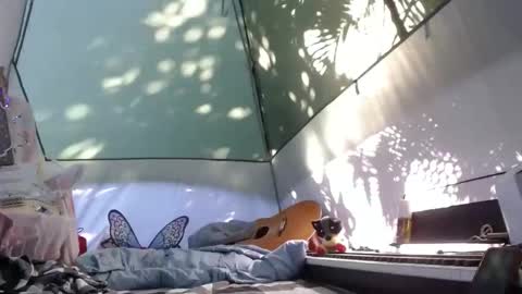 Snapshot of sweetnissapril chatting on November 2025 04:16:02 PM April online show from November 2025 04:16:02 PM