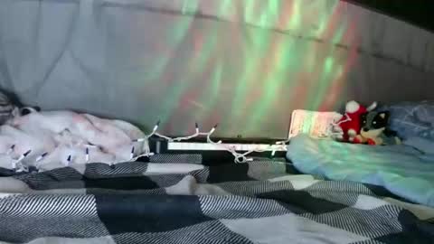 Snapshot of sweetnissapril chatting on January 2026 09:03:02 AM April online show from January 2026 09:03:02 AM