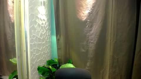 Snapshot of sweetspecial_jessyxx chatting on April 2026 06:58:02 PM sweetspecial_jessyxx online show from April 2026 06:58:02 PM