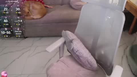 Pau online show from April 2026 12:24:01 AM