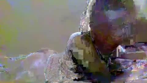 Snapshot of sweetvalk20 chatting on February 2025 02:25:01 AM sweetvalk20 online show from February 2025 02:25:01 AM