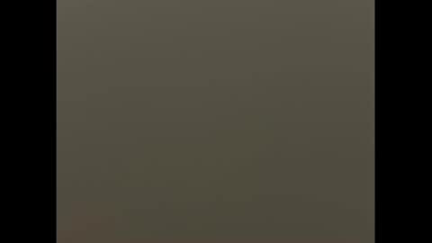 swimjock92262 online show from March 2025 11:03:01 AM