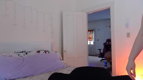 Snapshot of switchykitty chatting on February 2026 08:10:02 PM ashley blayde online show from February 2026 08:10:02 PM